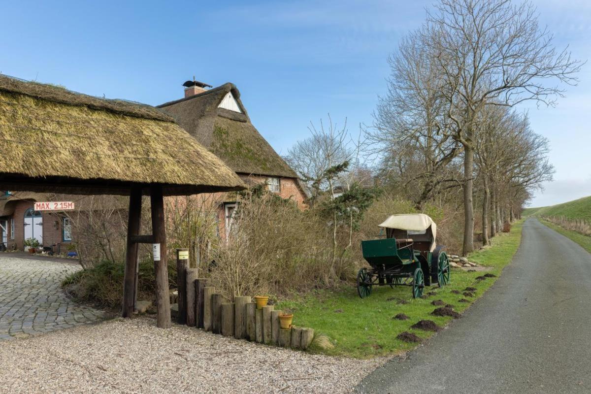 Villa Deichmuschel Woehrden Exterior foto